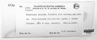 Puccinia seorsa image
